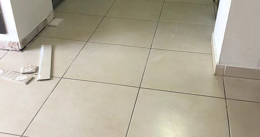 א.ש פרוקטים