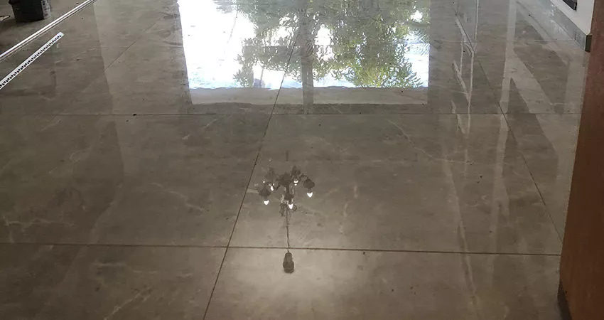א.ש פרוקטים